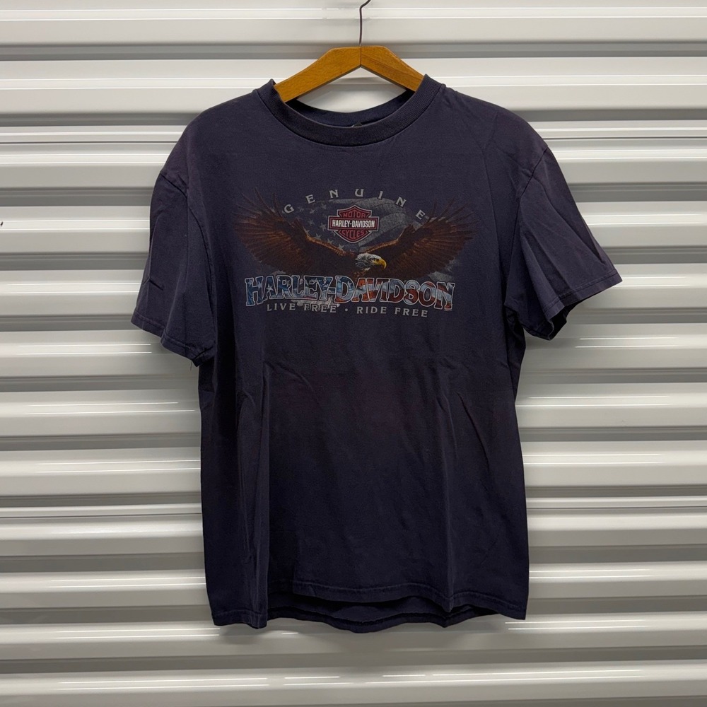 Vintage Harley Davidson American Flag Eagle Faded Blue Mens Large Shirt